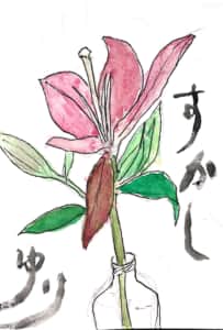 すかしゆり