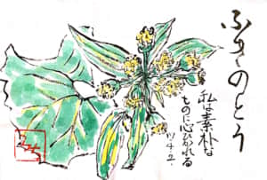 ふきのとう　私は素朴なものに心ひかれる