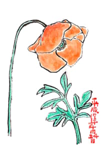 四月二十四日の花