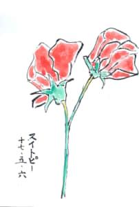 赤いスイートピー