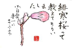 寒緋桜って教えてもらいました　御自愛専一に
