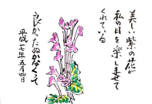 美しい紫の花が私の目を楽しませてくれている　良かったぬかなくって