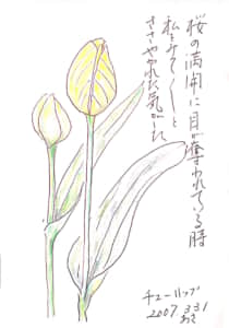 桜の満開に目が奪われている時　私を見て見てとささやかれた気がした　チューリップ