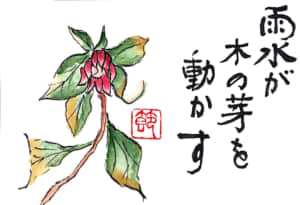 雨水が木の芽を動かす