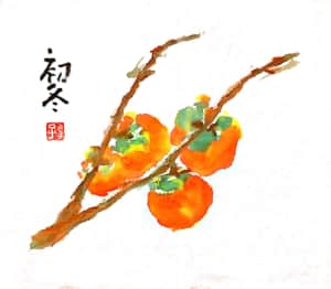 初冬の柿