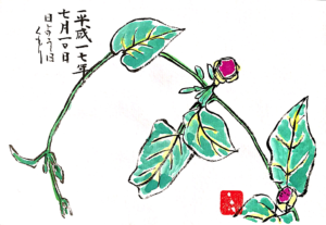 七月の花