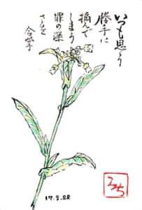 いつも思う　勝手に摘んでしまう罪の深さを　合掌