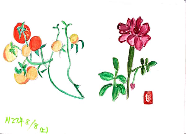 花とミニトマト