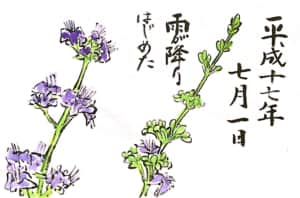 雨が降りはじめた