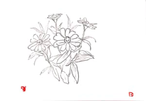 花のスケッチ