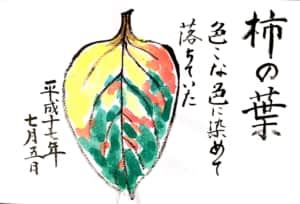 柿の葉　色々な色に染めて落ちていた