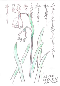 チューリップをスケッチしていたら私を見てと私をさそう　この花も私の大好きな花　ありがとう　スノードロップ