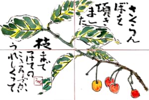 さくらんぼを頂きました　枝までつけてのこころづかい　うれしくって