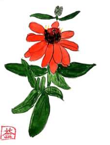 オレンジ色の花