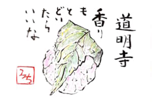 道明寺　香りも届いたらいいな