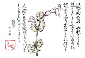 最高のおしゃれをして見て見てと言っているのに誰もふりむいてくれないとなげく　人間の美意識はどこにいってしまったのでしょう