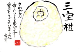 三宝柑　さわやかな香りにつつまれています　ありがとうございました　合掌