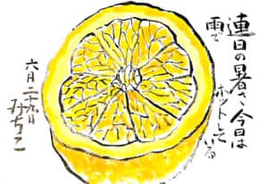 連日の暑さ　今日は雨でホットしている