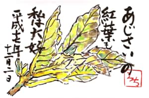 あじさいの紅葉も私は大好き