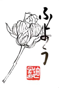 ふよう　芙蓉