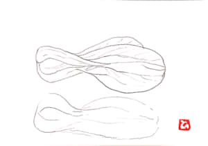 ちんげんさいのスケッチ