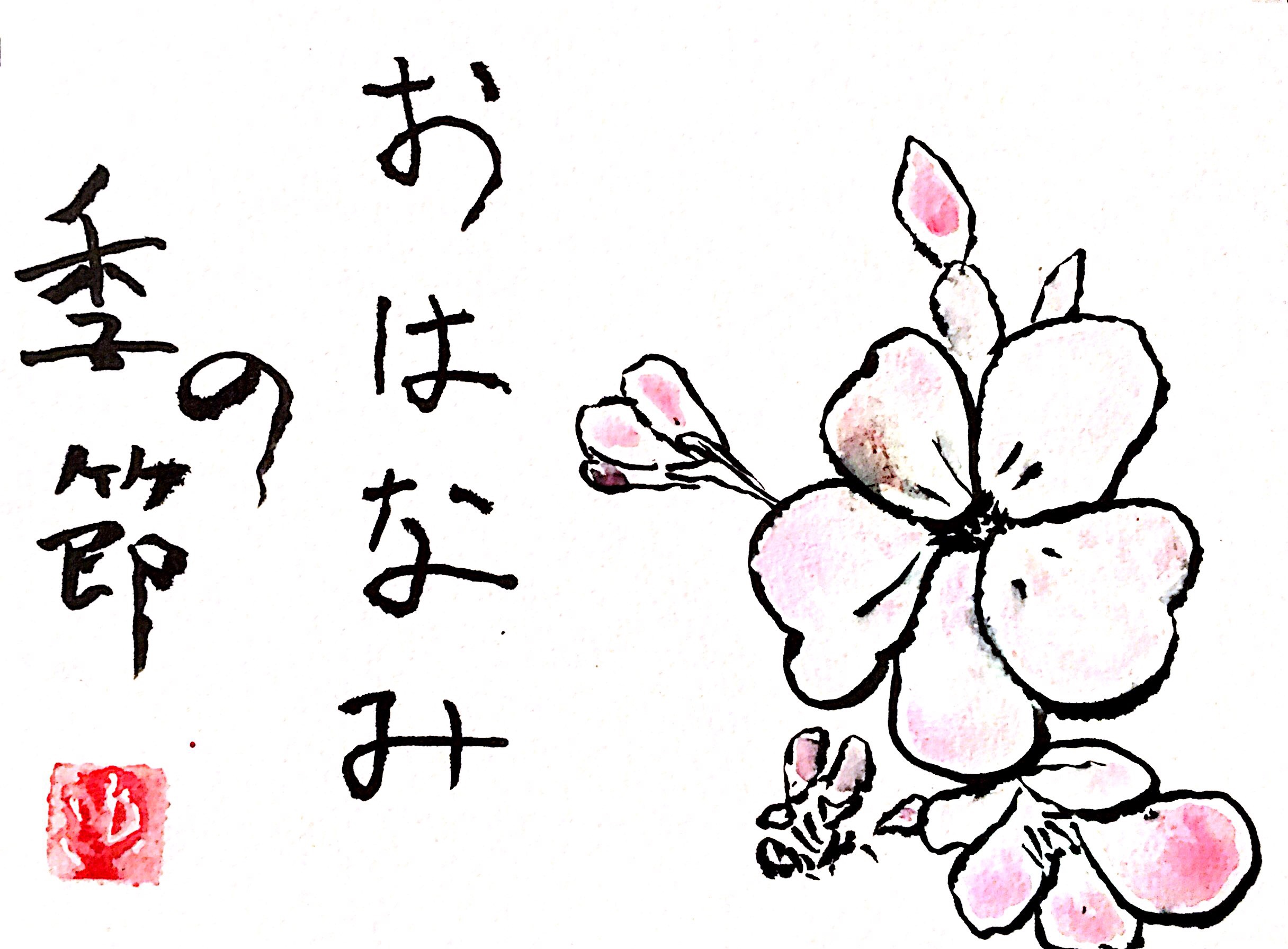 桜、お花見の絵手紙のすすめ