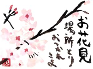 お花見 場所取りおつかれさま