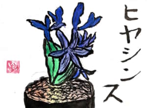 ヒヤシンス
