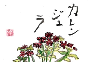 バーベナ ※カレンデュラと間違えました><