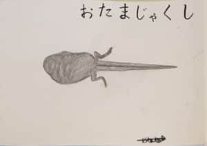 おたまじゃくし