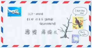 飛行機と鳥とうさぎ