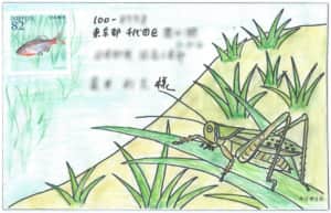 田んぼのタナゴとキリギリスの絵封筒