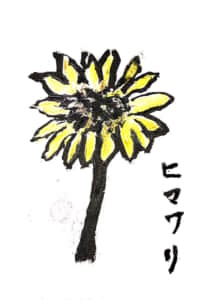 ヒマワリ
