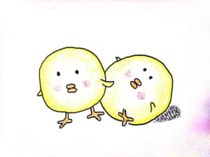 二羽のひよこちゃん