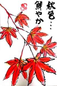 もみじ