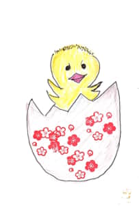 卵から生まれたひよこちゃん＾＾