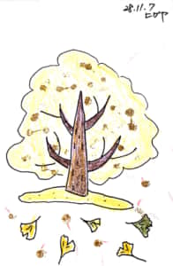 落ち葉舞う銀杏の木 キラキラのぎんなん