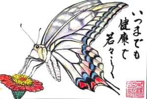 いつまでも健康で若々しく