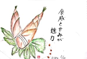 たけのこ　〜食感と甘みが魅力〜