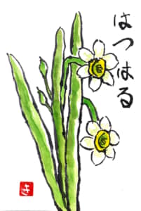 初春の白い水仙