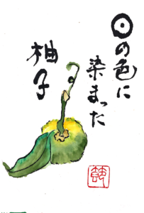 日の色に染まった柚子