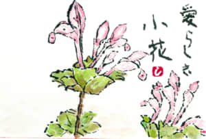 早春の小花