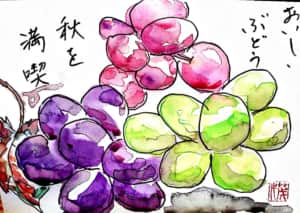 おいしいぶどう 秋を満喫