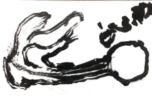 とっても力強い、かぶ。