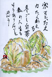 冬越し白菜