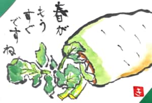 春がもうすぐですね　〜大根〜
