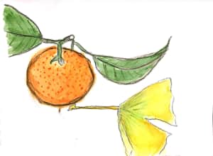 寒い季節に輝くモデルたち、みかんとイチョウの葉。