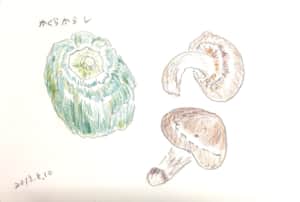 かぐらからしと、しいたけ