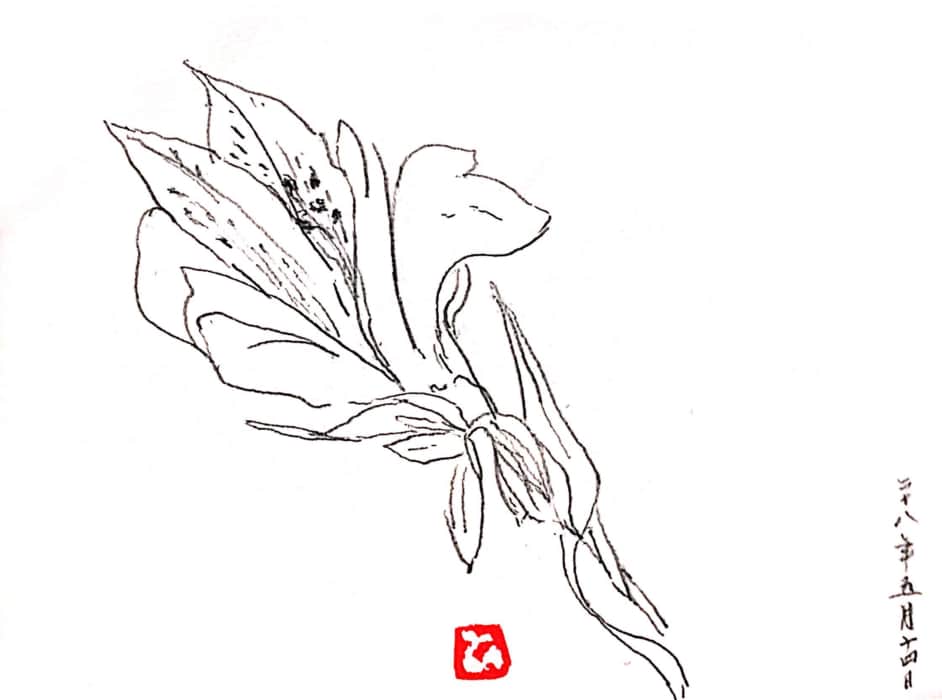 百合の花のデッサン