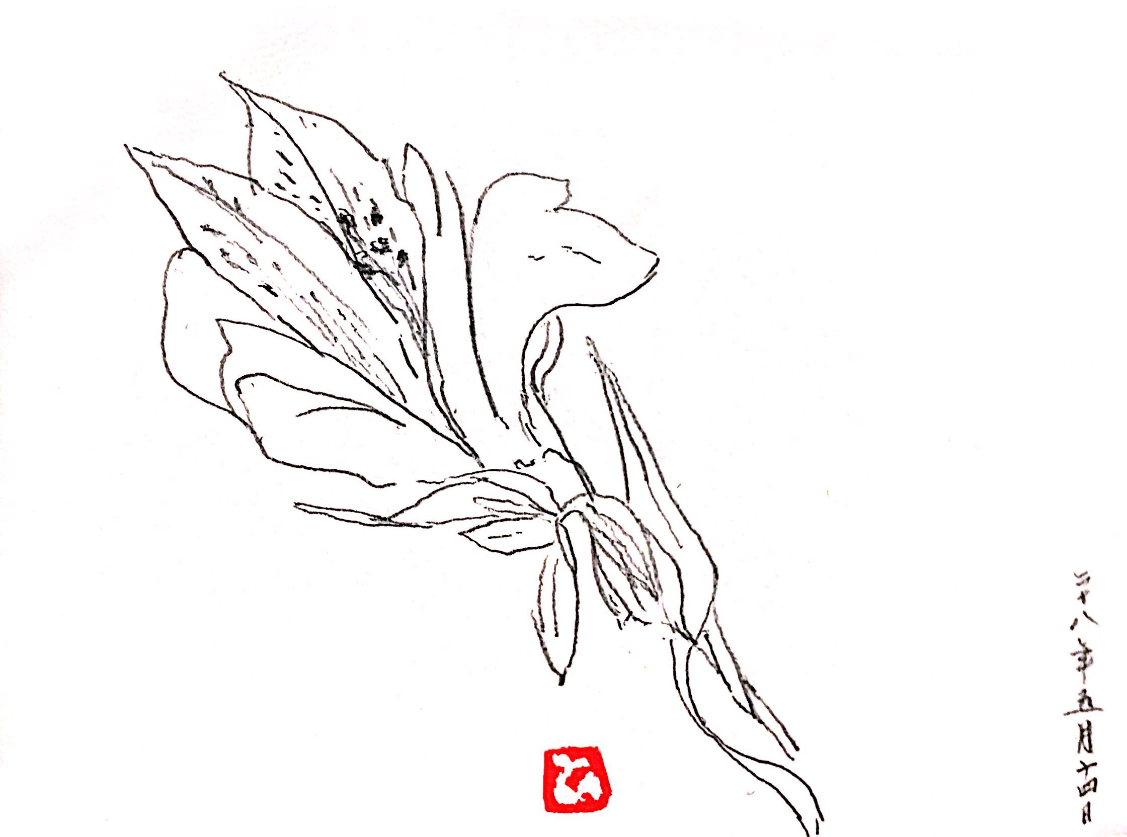 百合の花のデッサン